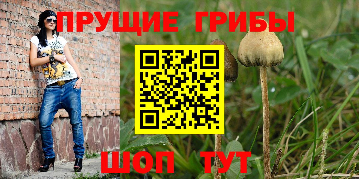 Тимашёвск  Псилоцибиновые грибы MAGIC MUSHROOMS  Галлюциногенные грибы Magic Shrooms  Вход с VPN 